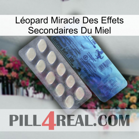 Léopard Miracle Des Effets Secondaires Du Miel 34.jpg